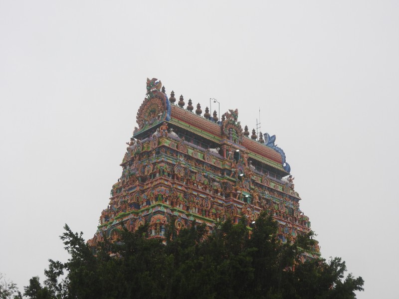 12 CHIDAMBARAM Sabhanayaka Naraja Mandir (Shiva Danzante)
